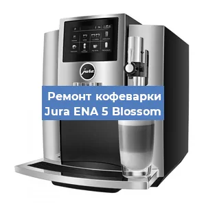 Чистка кофемашины Jura ENA 5 Blossom от кофейных масел в Челябинске